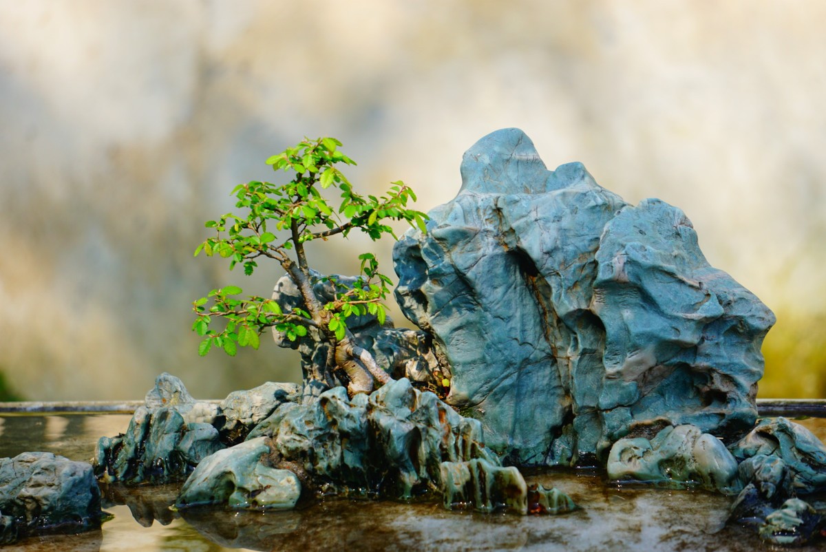 古鎮(zhèn)游玩，有一種說走就走的旅行