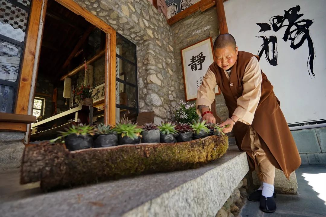 寂照庵--中國最文藝尼姑庵：心若無塵一花一世界