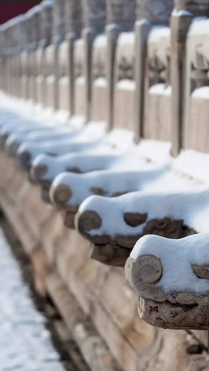 最美中國古建筑：紫禁城下雪了！