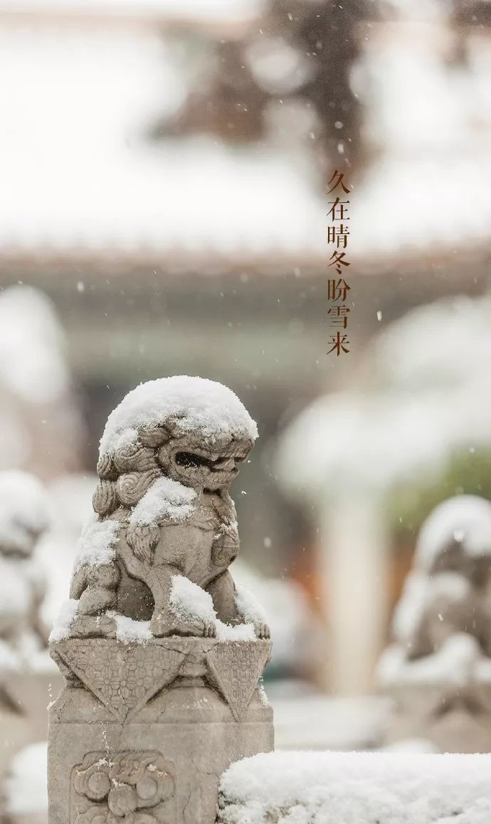 最美中國(guó)古建筑：紫禁城下雪了！