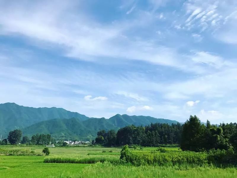 黃山·東田別野，日出而作日落而息的時光野