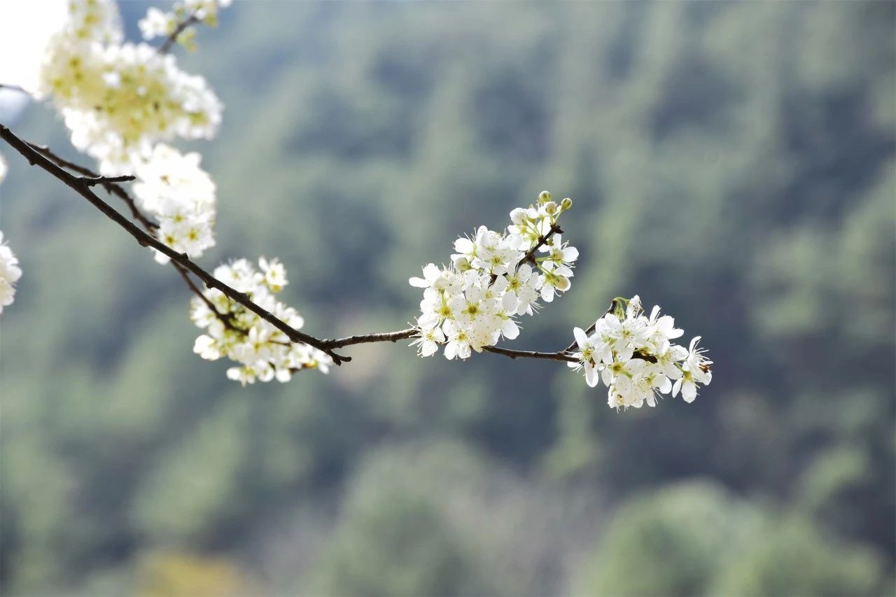 桐廬·水喜，太陽東升西落便是一天的標(biāo)記