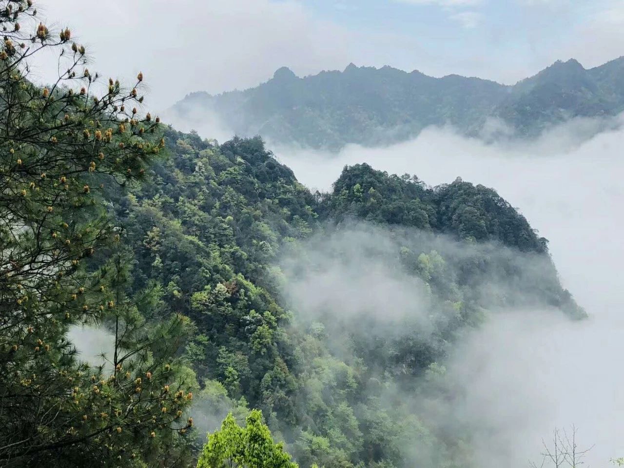 貴州·群山之心，因為夢想所有辛勞皆喜悅