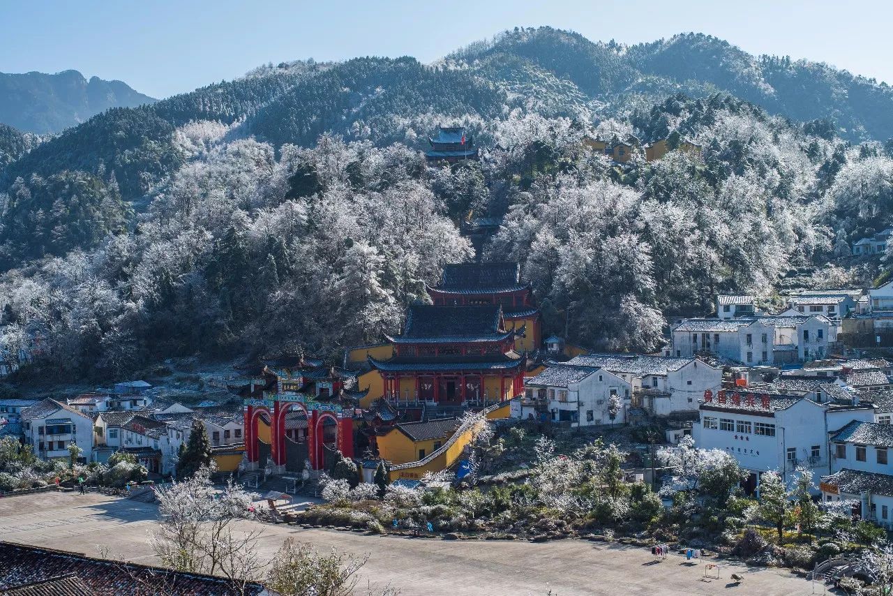 九華山·清竹里，延續(xù)和分享茶文化禪文化