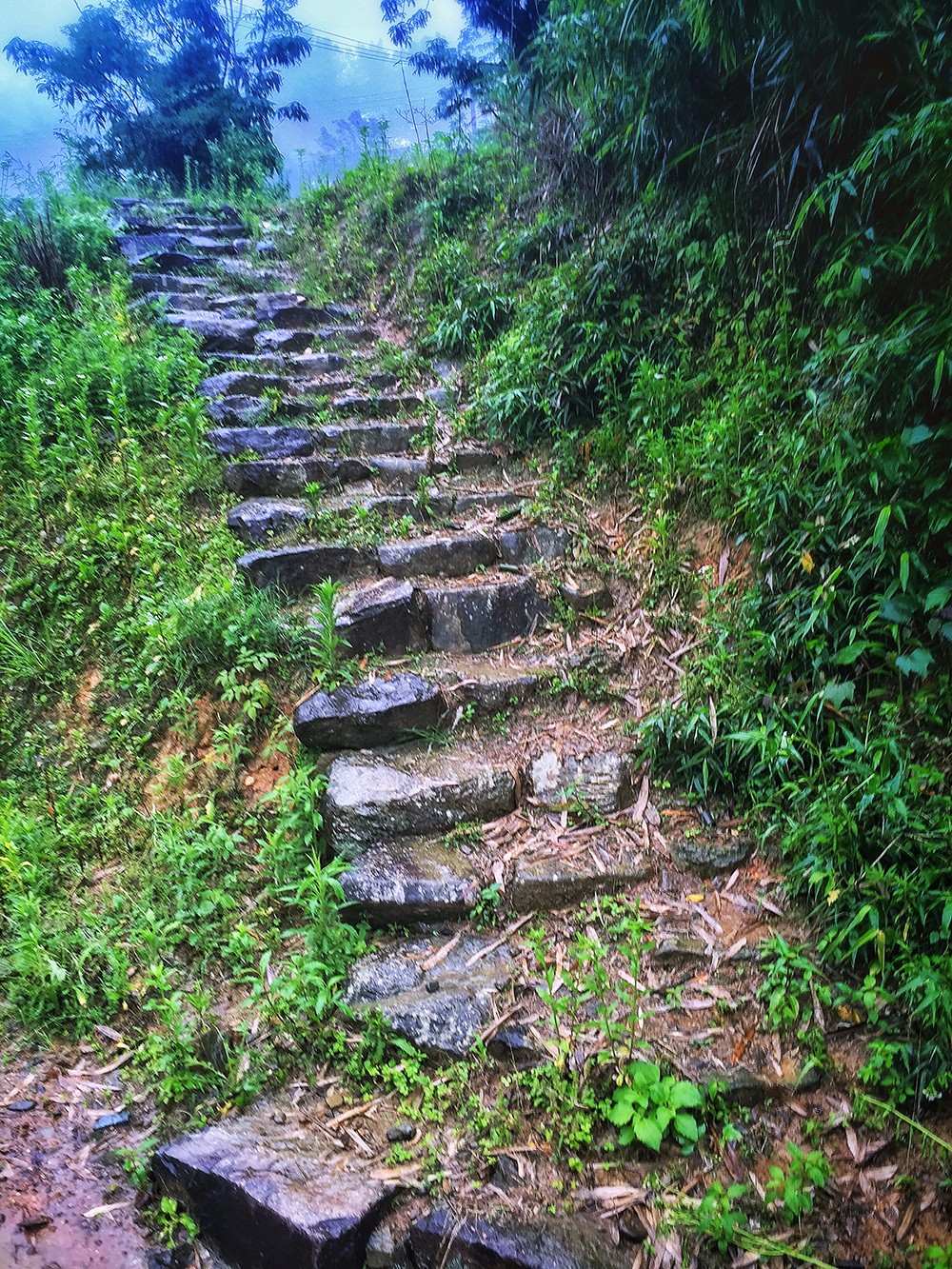 過云山居·長丘田，躺在浴缸里摘朵云