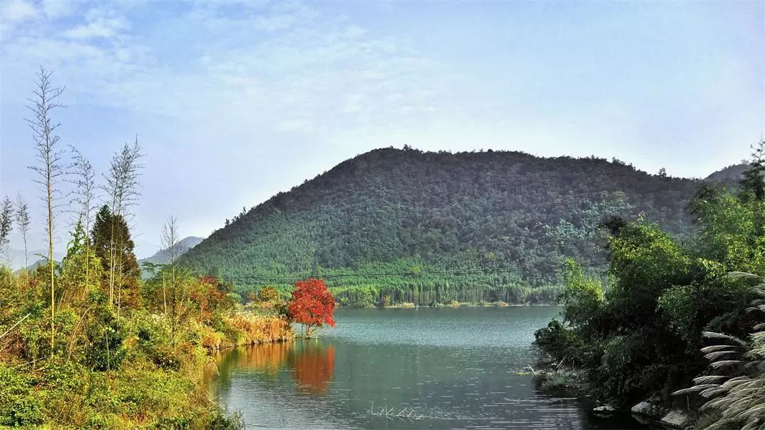 莫干山·宿里，一處桃花源建一處詩(shī)意棲居之所