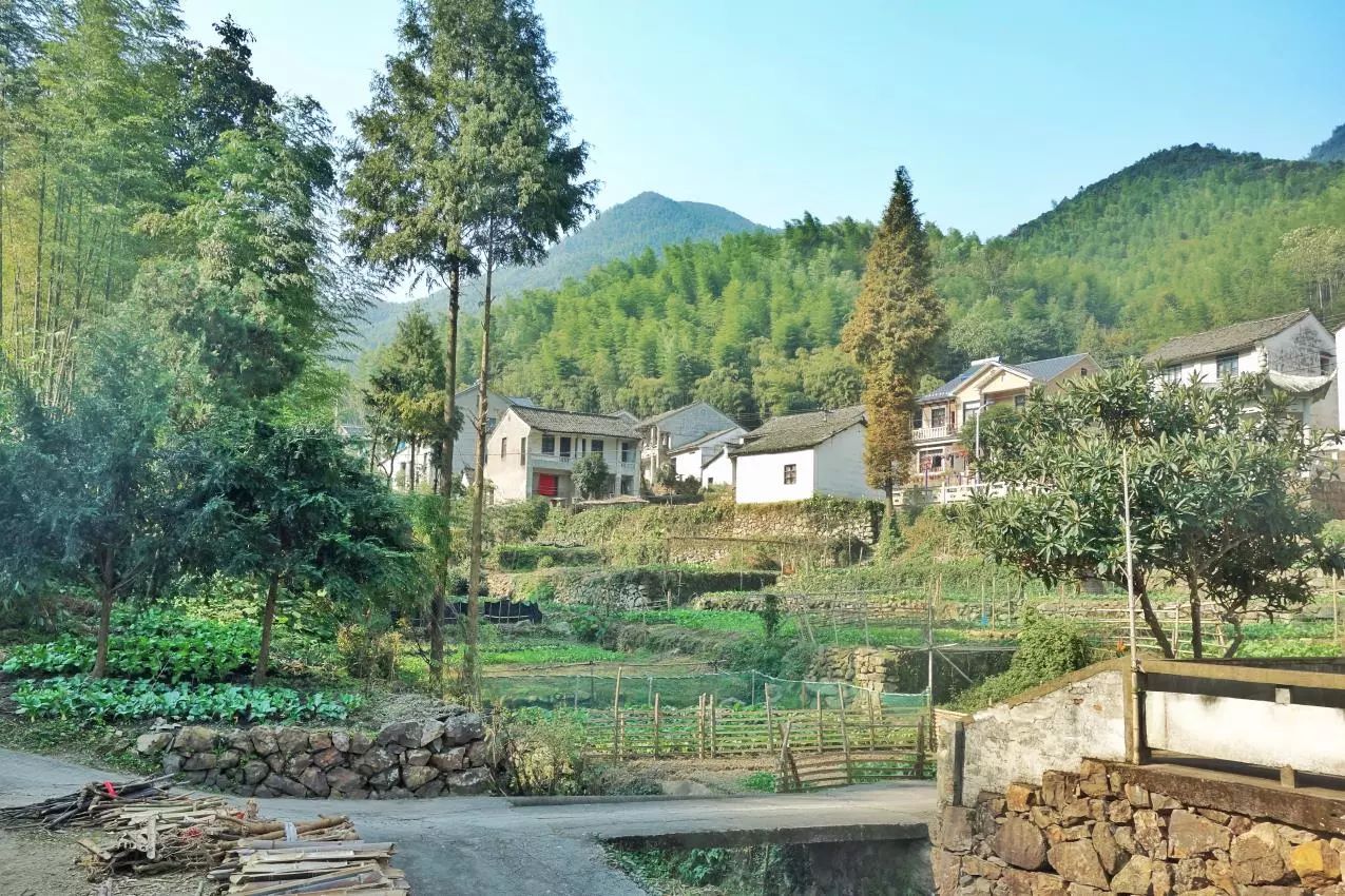 莫干山·宿里，一處桃花源建一處詩(shī)意棲居之所