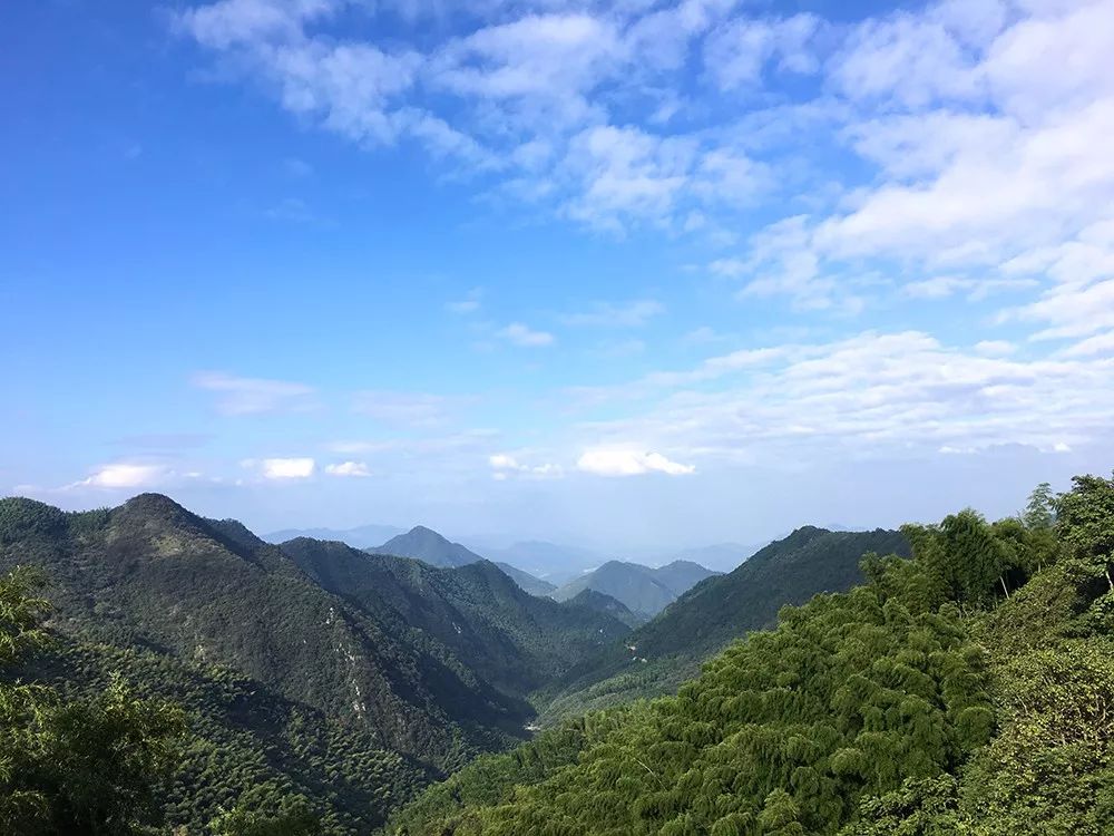 杭州·蓮社溪客，不妥協(xié)的人生才比較有趣