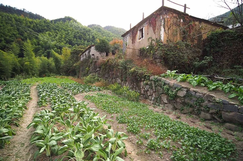 杭州·蓮社溪客，不妥協(xié)的人生才比較有趣