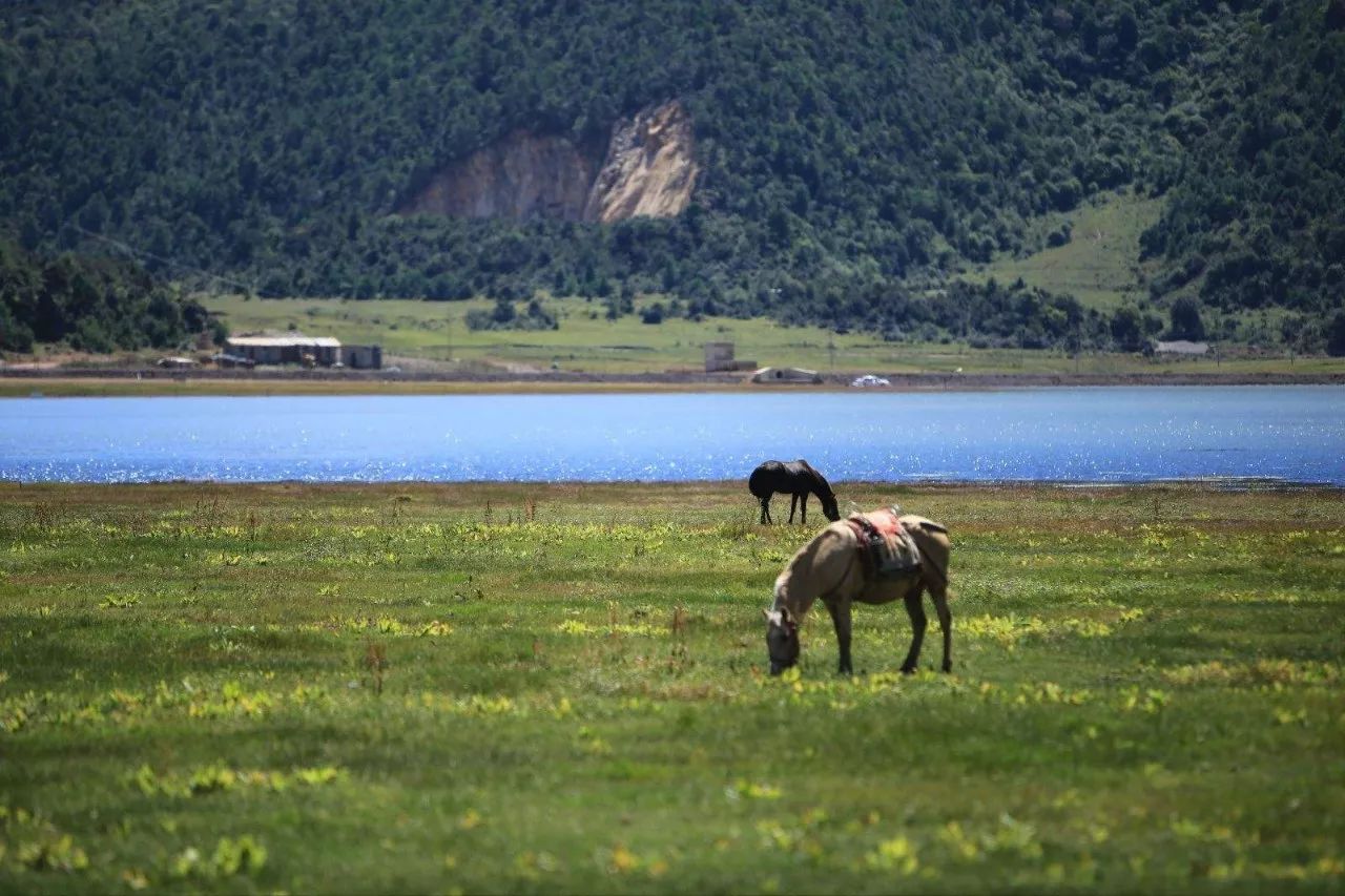 麗江束河·雲(yún)山南，相愛真的是一種奇跡