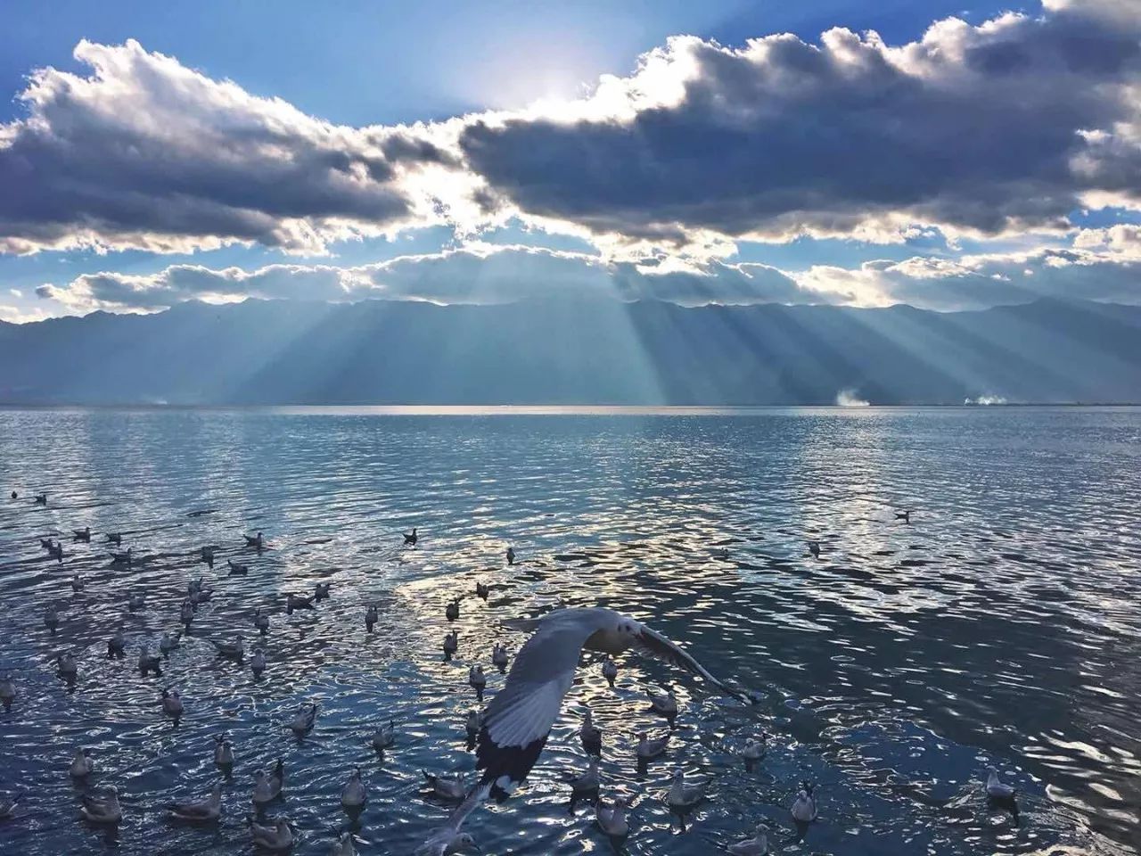 大理慢境·海景藝術(shù)客棧，海邊的微風(fēng)陽(yáng)光