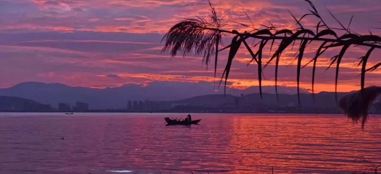 大理慢境·海景藝術(shù)客棧，海邊的微風(fēng)陽(yáng)光