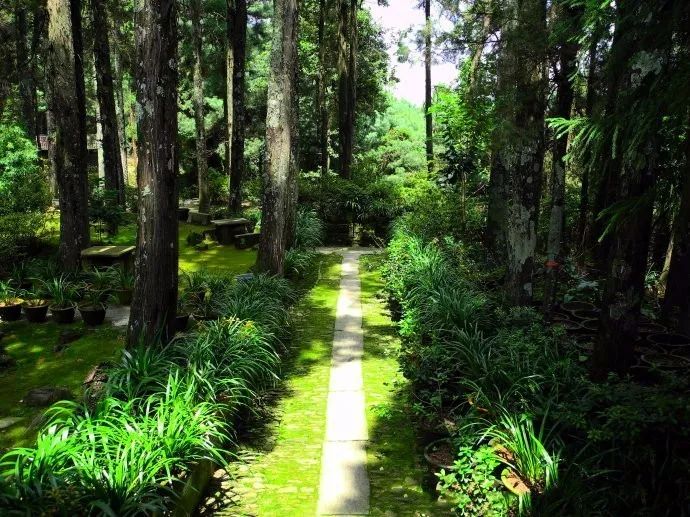 “中國(guó)最美寺院”寂照庵，房子象征著家是情感