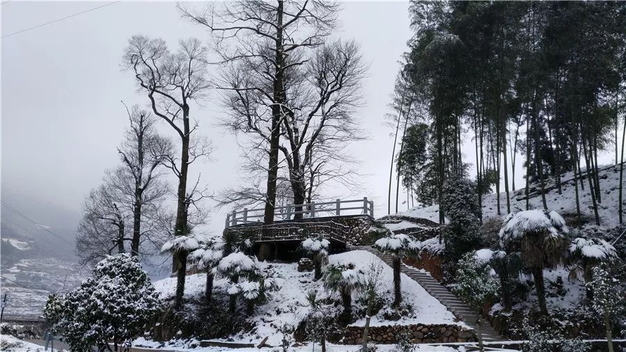 麗水·云逸遠山，在牡丹亭有個仲夏夜之夢