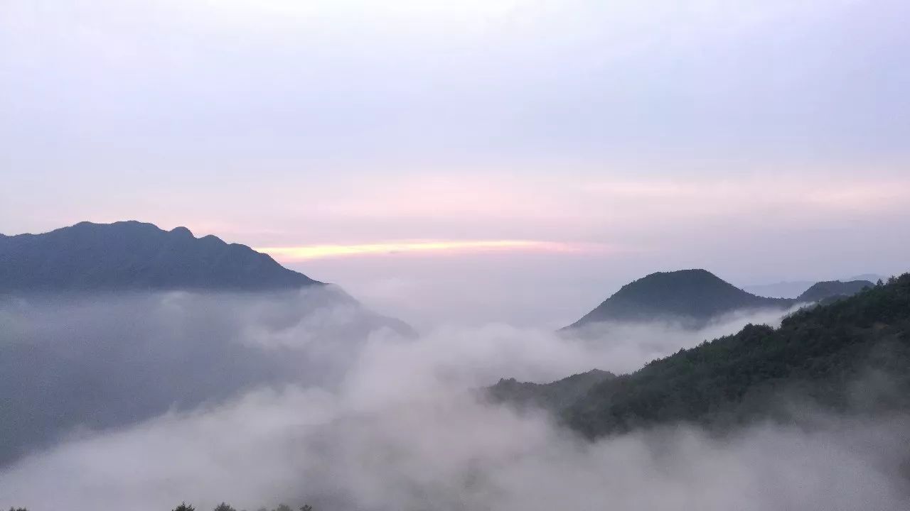 麗水·云逸遠山，在牡丹亭有個仲夏夜之夢