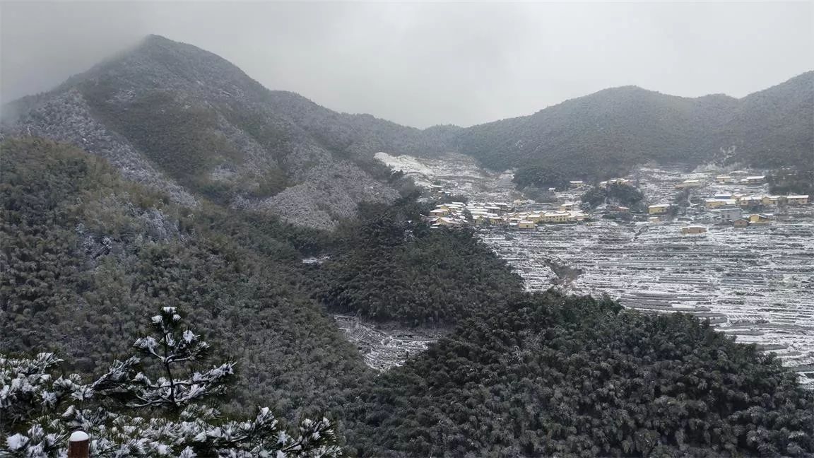 麗水·云逸遠山，在牡丹亭有個仲夏夜之夢