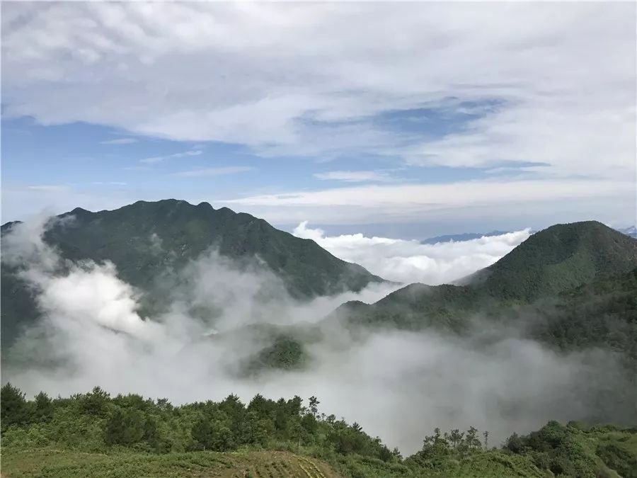 麗水·云逸遠山，在牡丹亭有個仲夏夜之夢