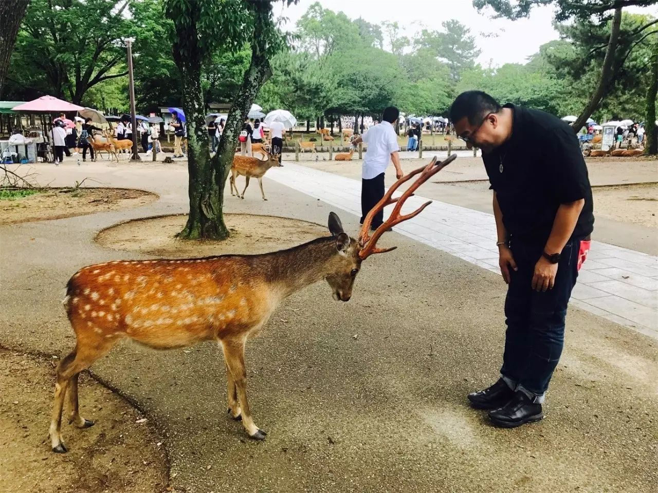 武夷山·舊街山宿，理想生活就是慢下來