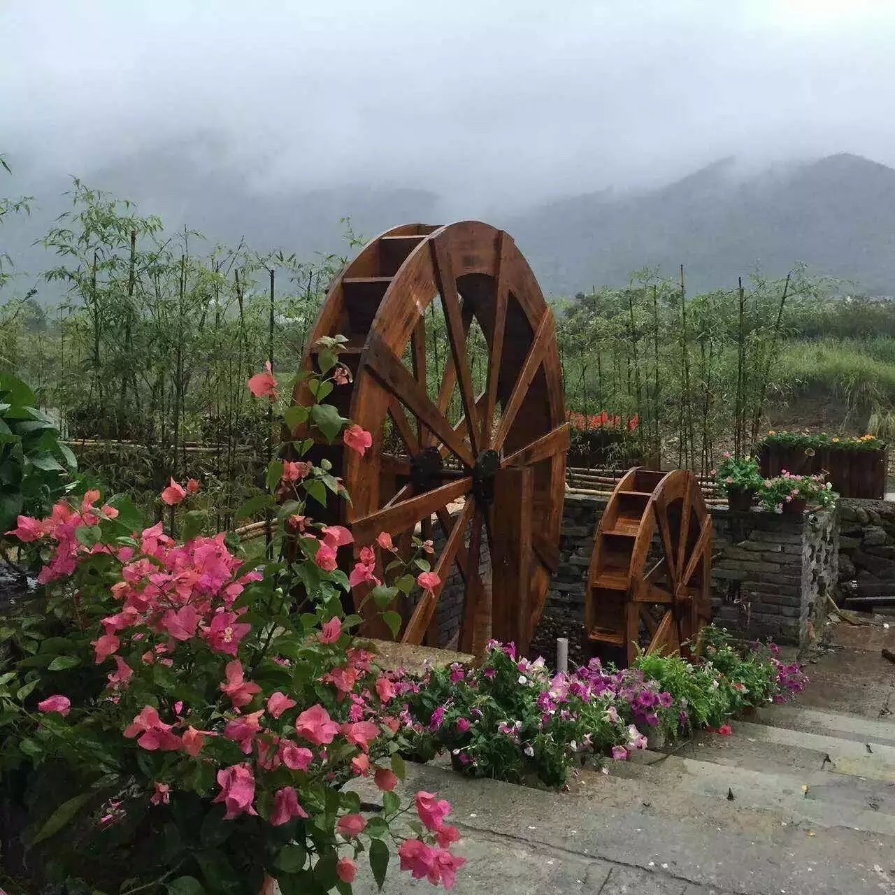 寧波·花雨醉，品花間一壺酒聽雨后醉朦朧