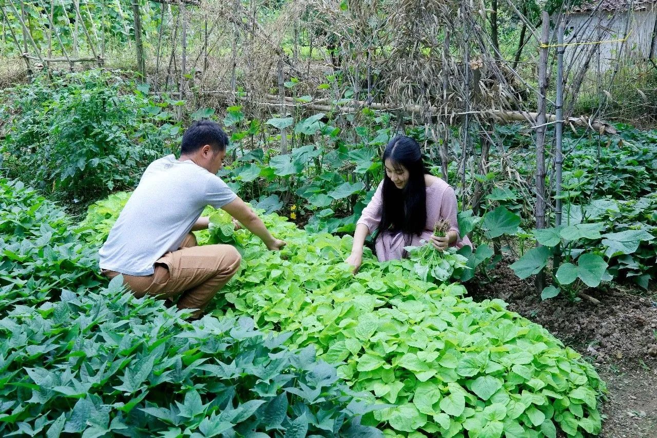 村上酒舍，體驗(yàn)古村生活一起慢慢變老