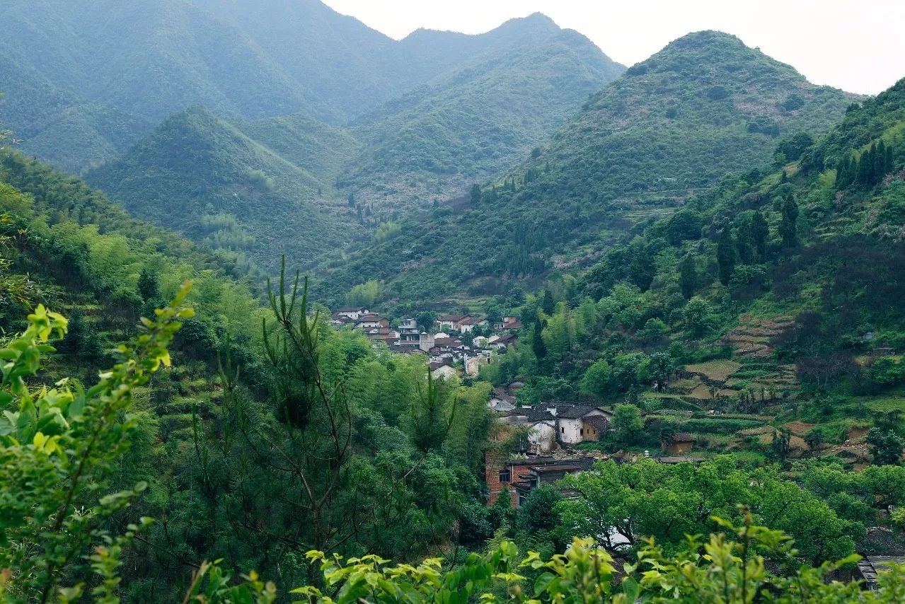 村上酒舍，體驗古村生活一起慢慢變老