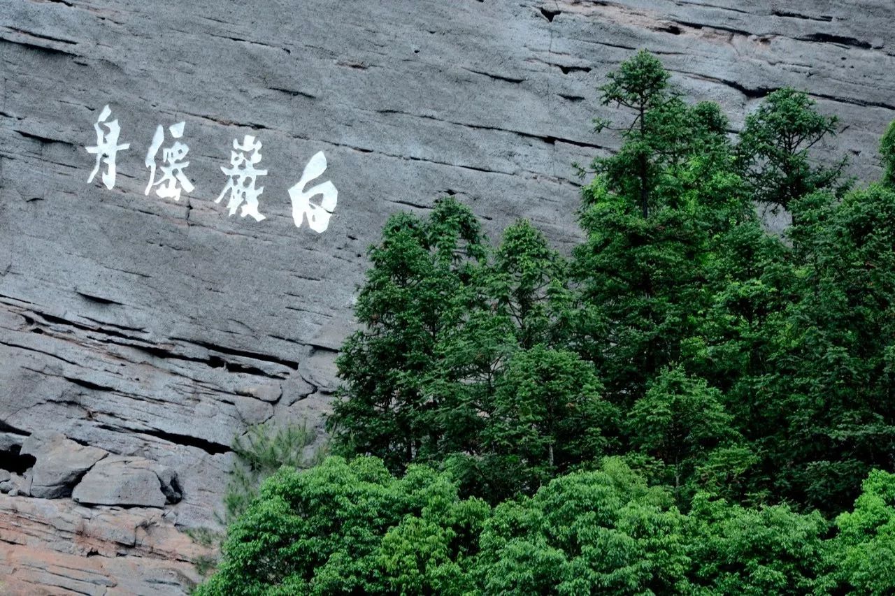 武夷山·山玖如意莊，一杯清茶一萬個品茶人