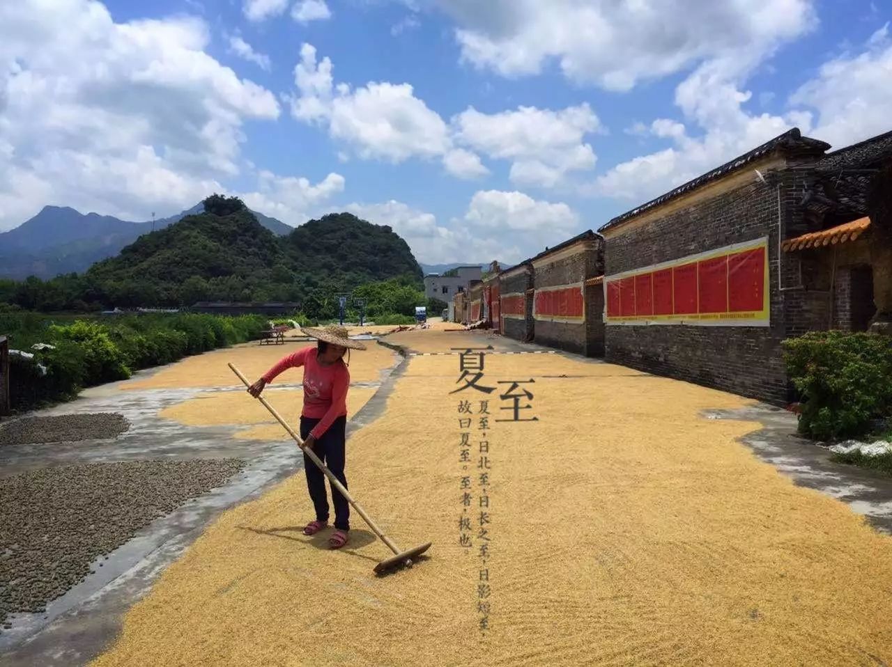 桃花壹號(hào)，靜下來品味生活最美的那一面