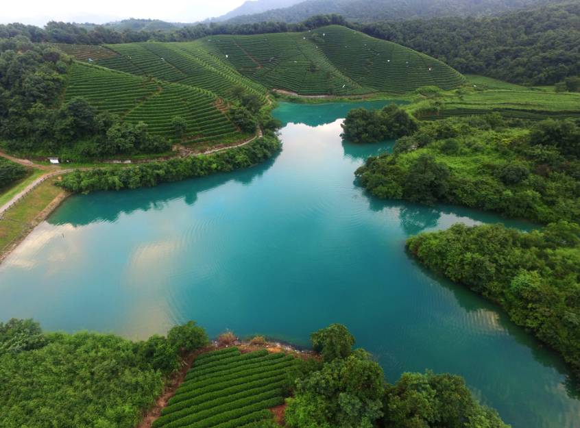 茗墅茶莊園，西湖以外的西湖