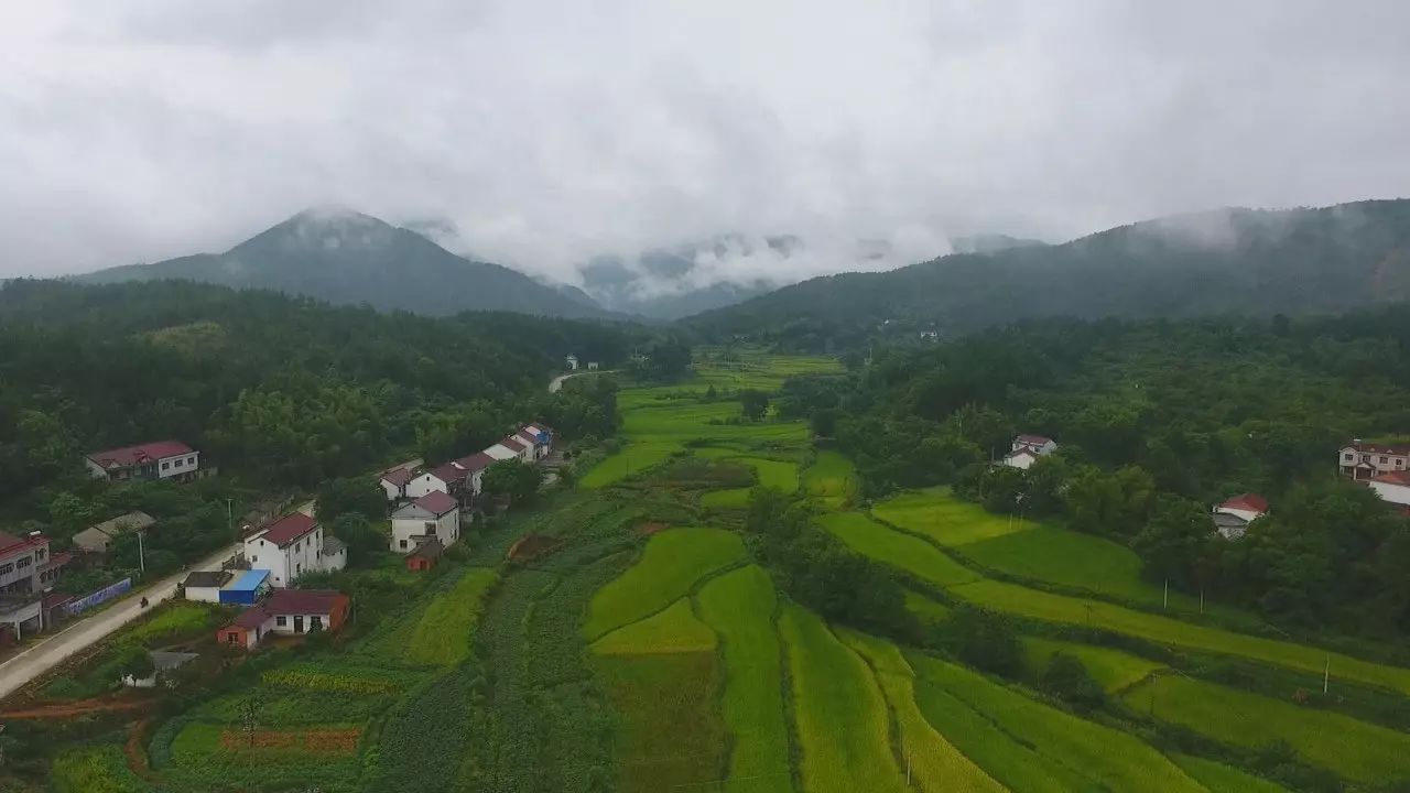 陌上·花溪堂，陌上花開笑顏傾城