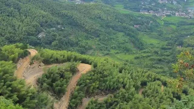 珀洱半坡，在竹海樹林之間盡享山間好風(fēng)光