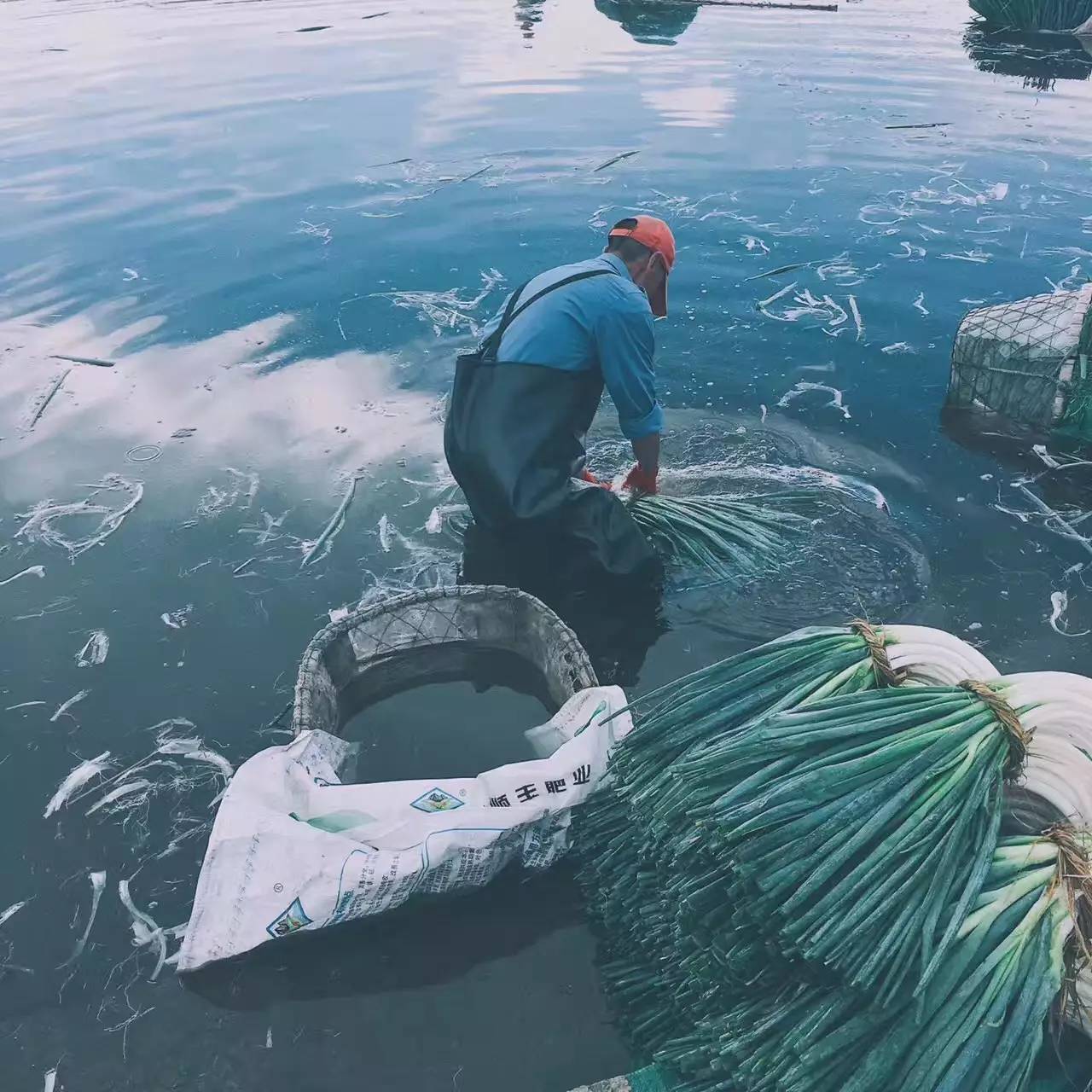 大理吾居，吾之居所無拘無束