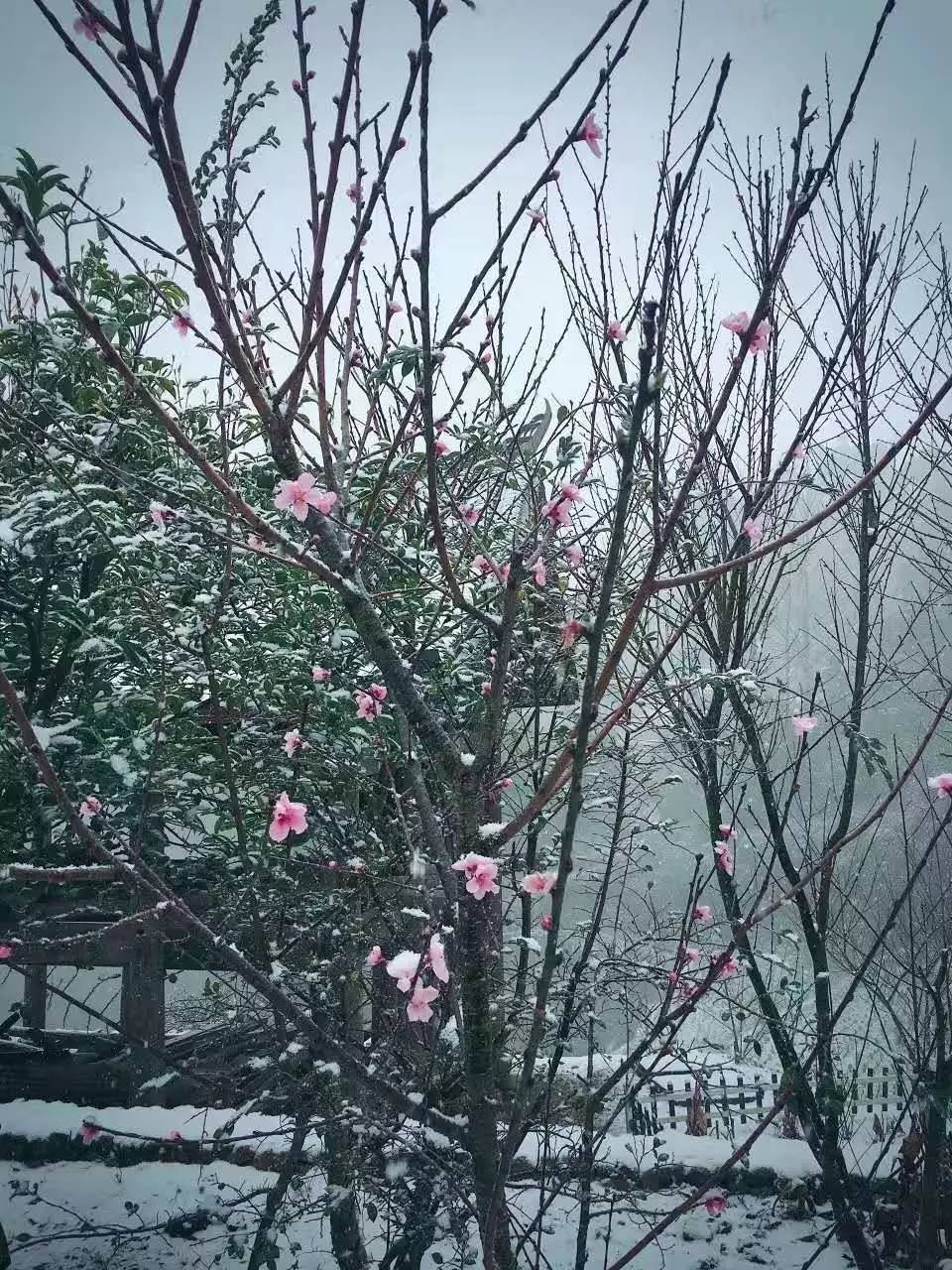 如隱·小佐居，半入溪水半入云