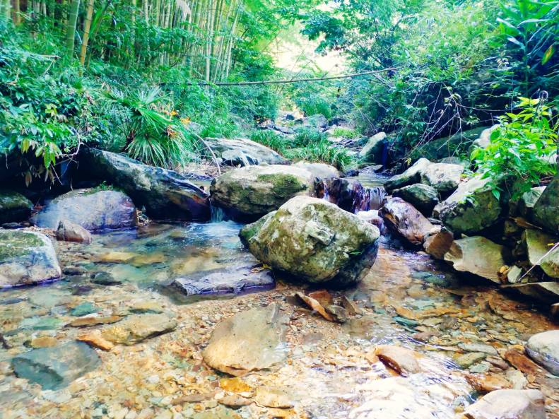 黃山云上民宿，看云卷云舒留住淳樸田園生活