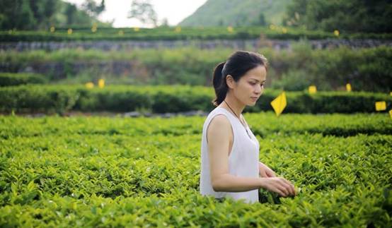 壹城一家，一座城一盞燈一個(gè)家在守候你