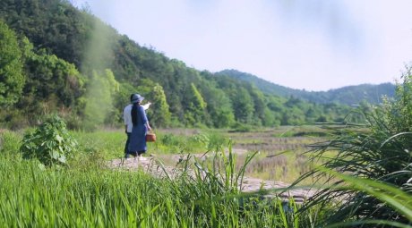 新安江畔谷掌民宿，莊園里享受青山環(huán)繞的美景