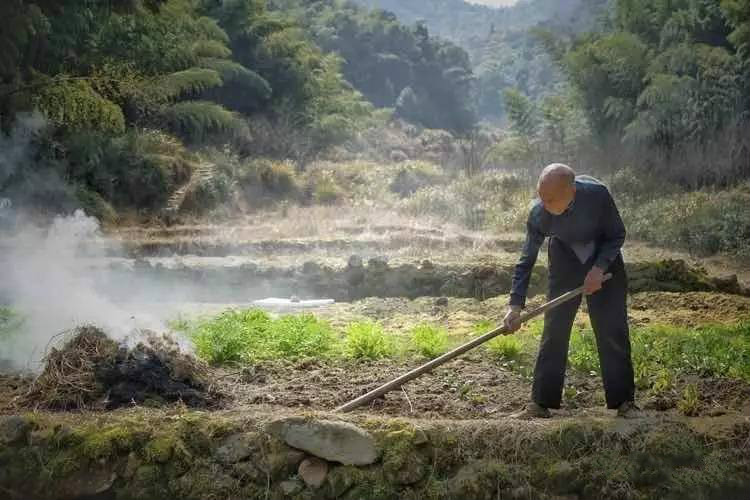 草宿民宿，愿做一顆草向往山間無(wú)拘無(wú)束的生活