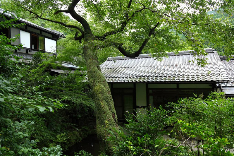 Kyo no Minshuku Ohara no Sato（大原之鄉(xiāng)京民宿）