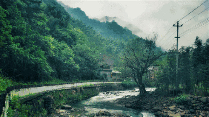 臨安太湖源鎮(zhèn)魚樂山房