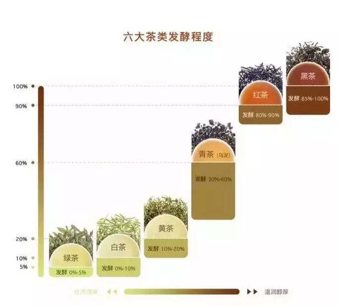 中國(guó)茶道：一次性把中國(guó)茶講清楚