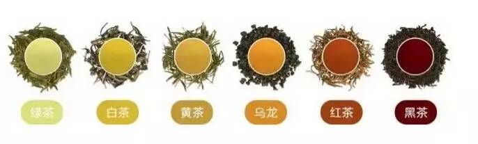 中國(guó)茶道：一次性把中國(guó)茶講清楚