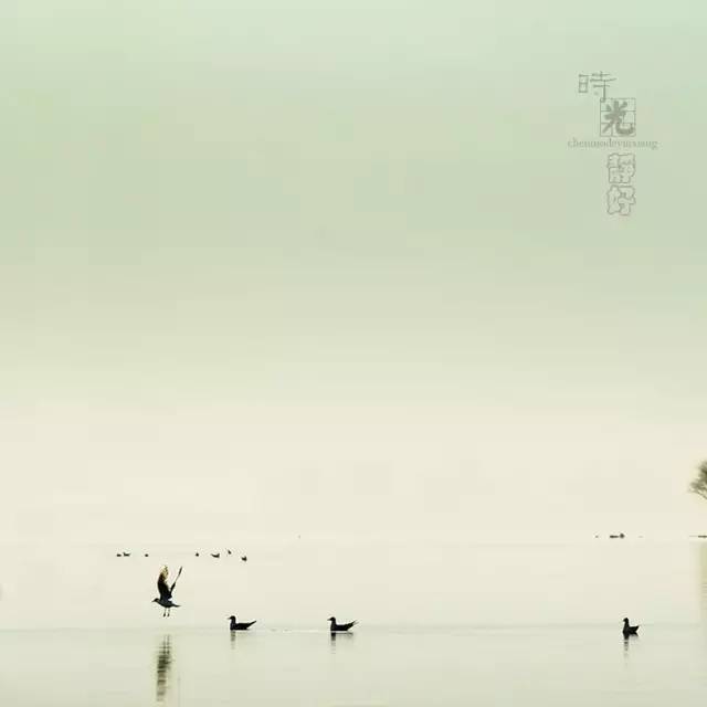 風(fēng)景攝影作品時(shí)光靜好：邛海景色！