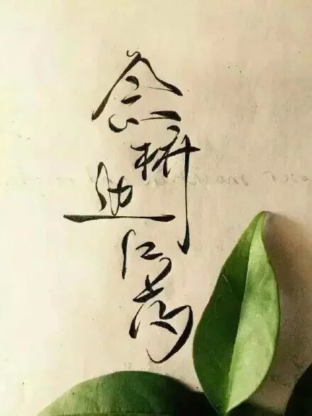 別致新穎的書法字體，美的很有意境！