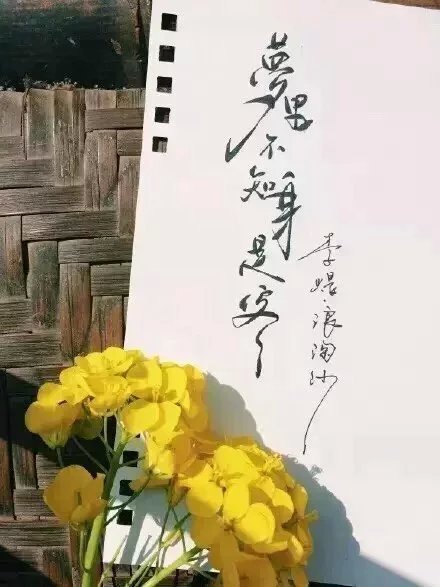 別致新穎的書法字體，美的很有意境！