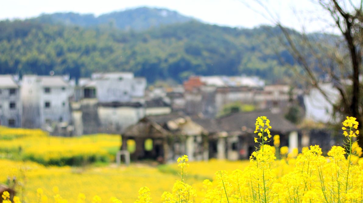 夢(mèng)回西江，南昌，廬山，婺源