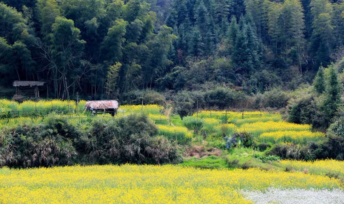 夢(mèng)回西江，南昌，廬山，婺源