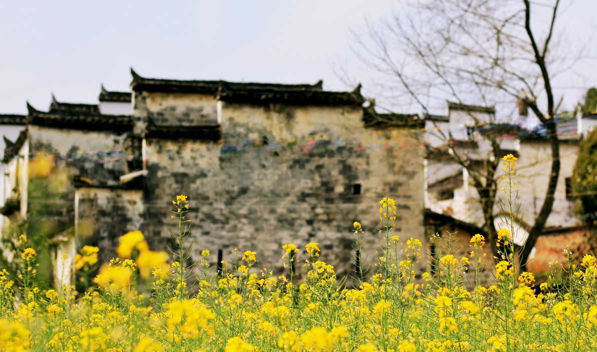 夢(mèng)回西江，南昌，廬山，婺源