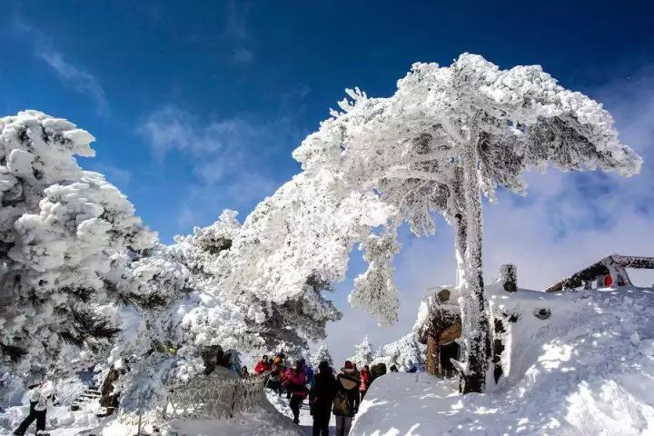 雪后黃山風(fēng)景宛如人間仙境，舞一曲雪中霓裳羽