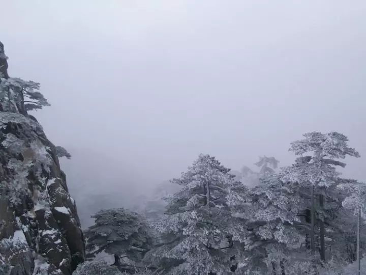 雪后黃山風(fēng)景宛如人間仙境，舞一曲雪中霓裳羽