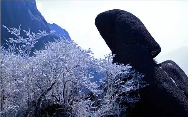 雪后黃山風(fēng)景宛如人間仙境，舞一曲雪中霓裳羽