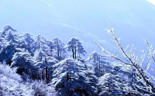 雪后黃山風(fēng)景宛如人間仙境，舞一曲雪中霓裳羽